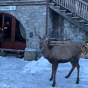 Homestay Schody Do Nieba, Zakopane